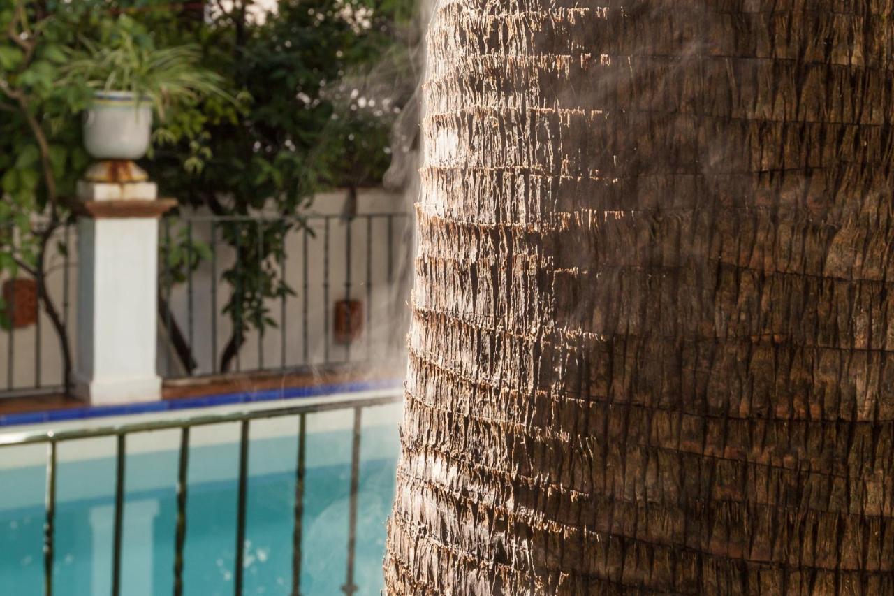 Villa Elvira, Exclusive Pool And Gardens In The Heart Of Sevilla Dış mekan fotoğraf